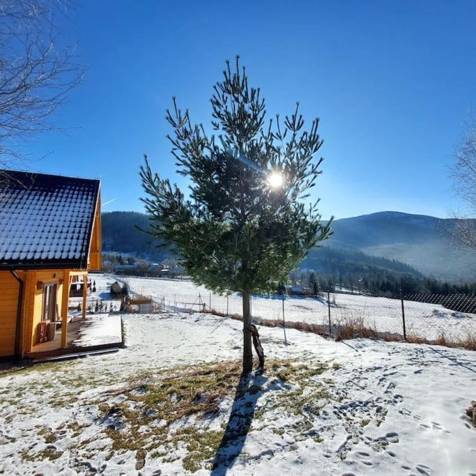 Panorama Sucha Gora ,Lesny Domek Skawica  Buitenkant foto