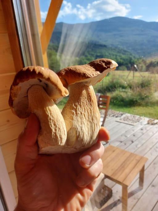Panorama Sucha Gora ,Lesny Domek Skawica  Buitenkant foto