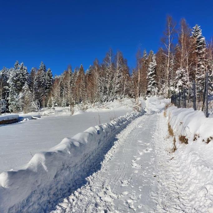 Panorama Sucha Gora ,Lesny Domek Skawica  Buitenkant foto