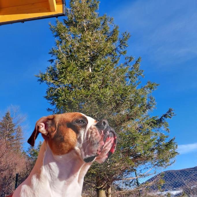 Panorama Sucha Gora ,Lesny Domek Skawica  Buitenkant foto
